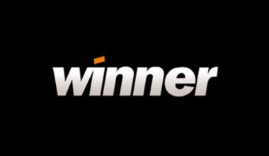 Winner casino